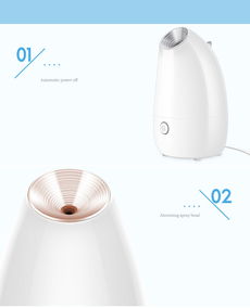 金稻KD-2331热喷蒸脸器 以纳米水润，焕活肌肤新“企”机